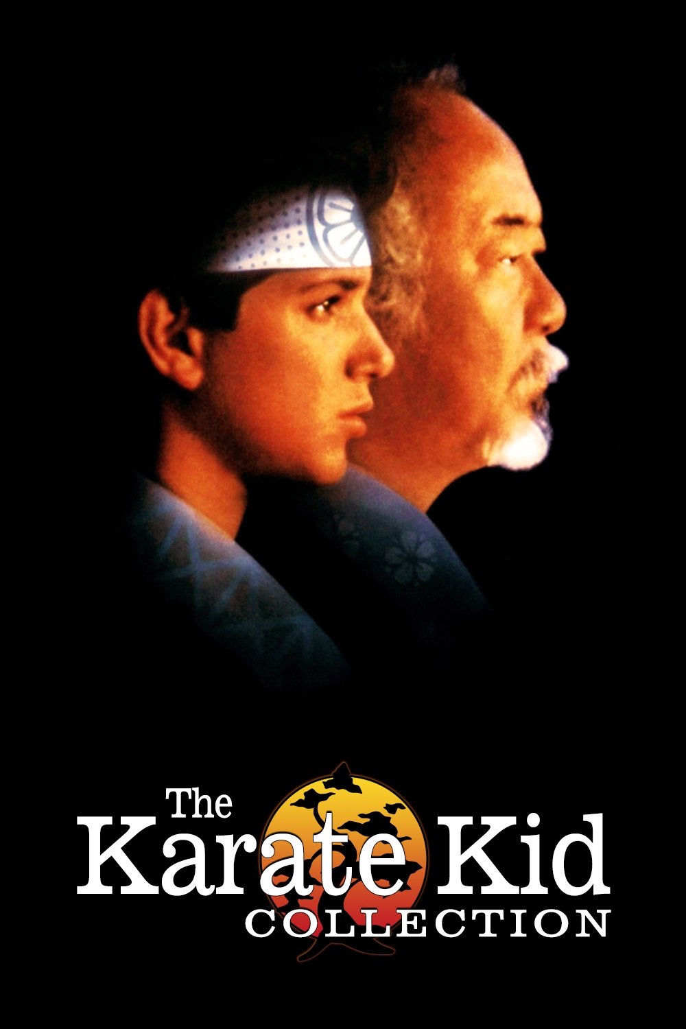 The Karate Kid Collection [5364] (A1763286460) (Movies) --Plex--